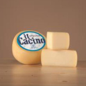 PECORINO IL CACINO 600 GR (5 PZ A CT)