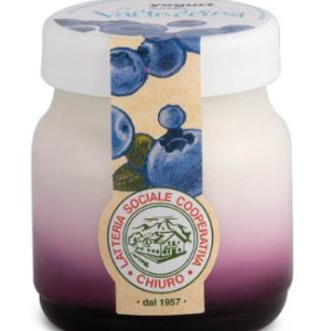 YOGURT VALTELLINA MIRTILLI 150 GR